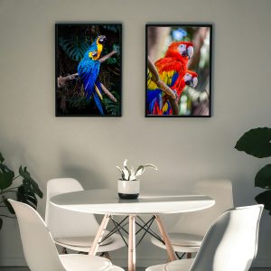 canvas parrots